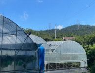 더드림농장