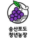 송산포도 청년농장