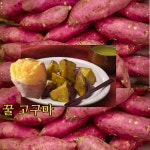 원광농장