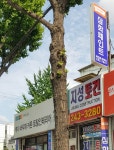 지성토건