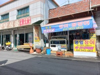 영일장어