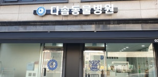 다솜동물병원