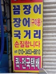 영일장어