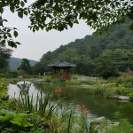 와이제이컴