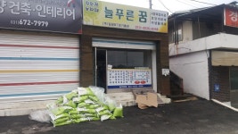 늘푸른꿈