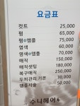 수니헤어