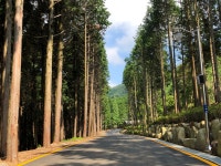 사천케이블카 자연휴양림