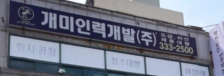 개미인력개발 부산북구지점