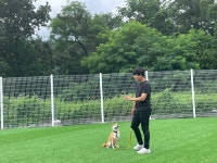 고쳐줄개 애견훈련소