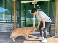 고쳐줄개 애견훈련소