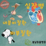 봄날동물병원 목동본점