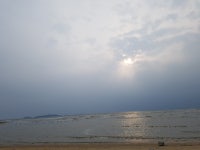 몽산포솔모래펜션