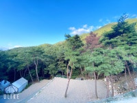 금오산힐링캠프