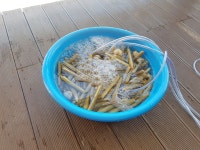 몽산포솔모래펜션