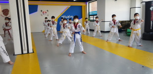 경희대석사태권도