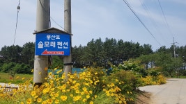 몽산포솔모래펜션