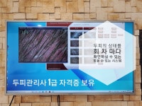 최지원 헤어아트