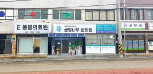 생명나무한의원