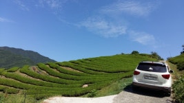 하동 알퐁소 펜션