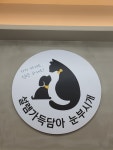 고양이세수_설렘