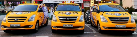 태무강한태권도