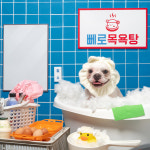 펠리스뻬로시티