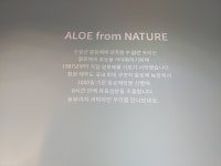 김정문알로에 용암지사