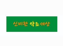 신비한 약초 세상