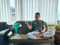 디퍼프리다이브 제주