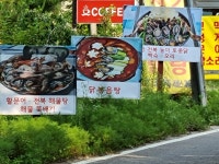 두빛나래
