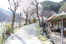 가마솥산장가든 닭백숙