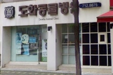 도화동물병원