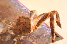 헬로크랩 부천점