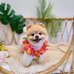 그룸앤먼치