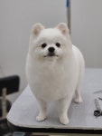 그룸앤먼치
