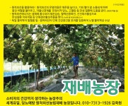 금화농원