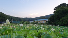 광교산 황제농원