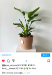 꽃바람화원