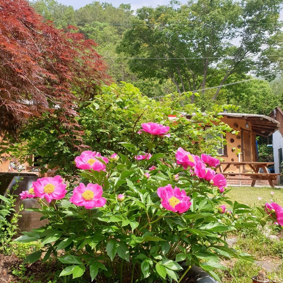 지리산시골집 이미지