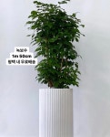 꽃바람화원