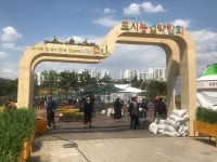 디자인파란