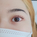 눈길주다