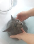 울산제이앤독애견샵