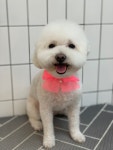 하이몽