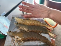 정인수산