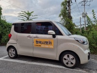 펫택시펫카