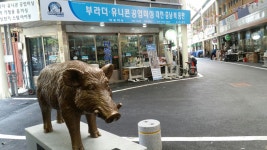 부라더미싱총판매장 | 부라더공업용미싱대전지점