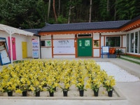 온석식당