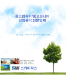 스카이웍스