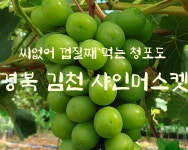 나영세과일농장